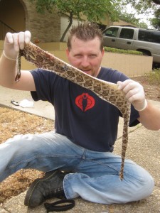 The "fruits" of our work. I thought it was only fitting to wear a GI Joe Cobra shirt while skinning the snake.
